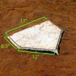 Image taken from Google Images
